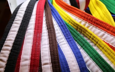 Different belts in six sigma and their meanings